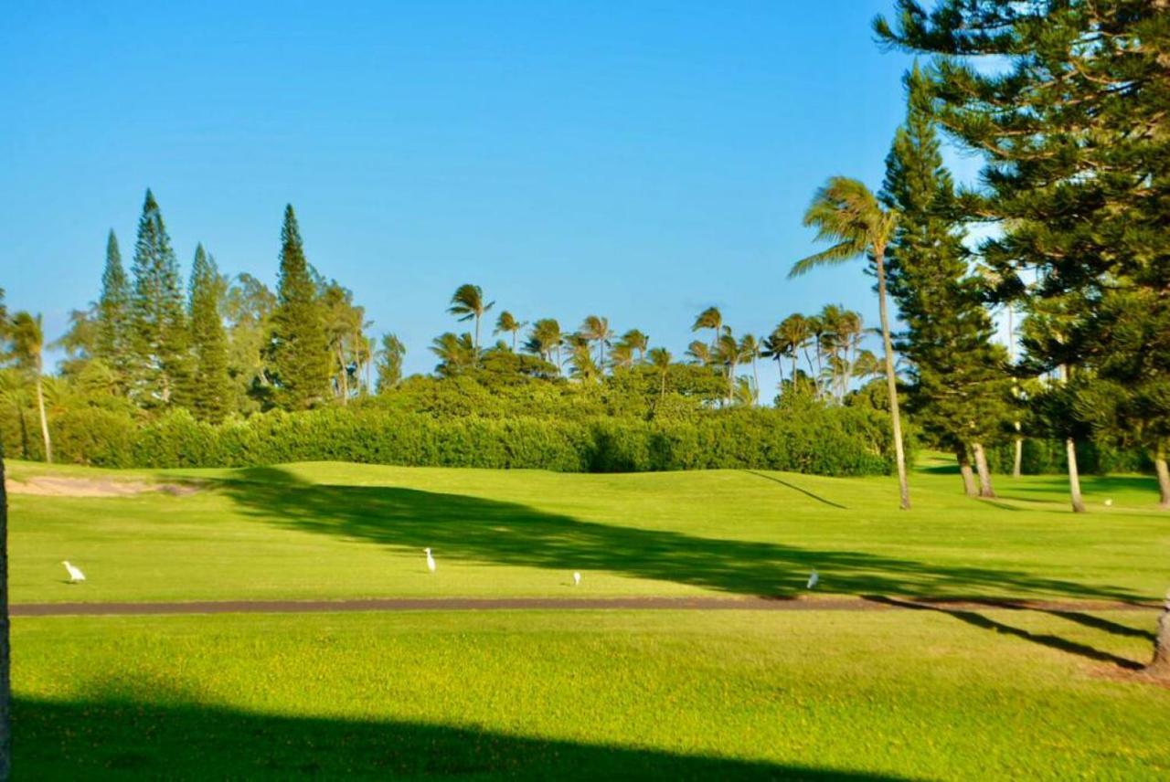Glam At Turtle Bay On The Golf Course